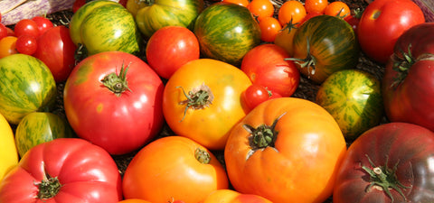 BACtrack Provides Breathalyzer Tests at the Kendall-Jackson Tomato Festival